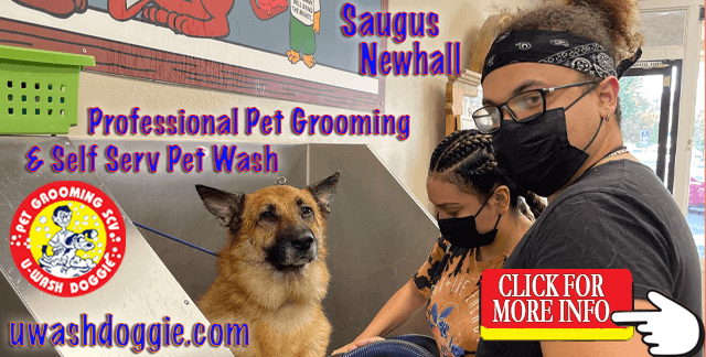 Mottoes |  U-Wash Doggie, Newhall & Saugus