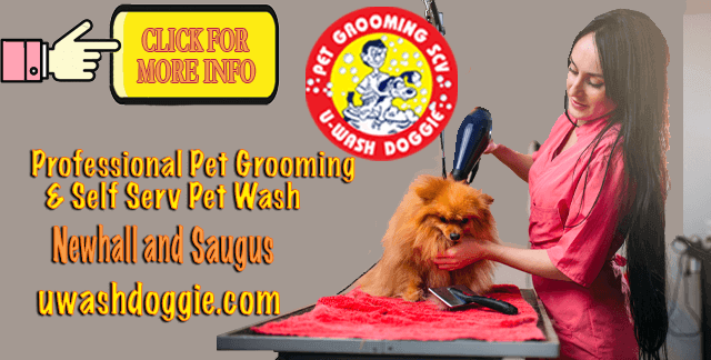Your Home For Professional Pet Grooming