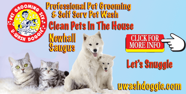 Clean Pets In The House