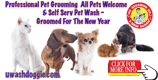 Get’Em Groomed For The New Year
