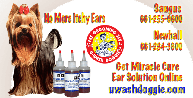 Miracle Cure Ear Solution Online at U-WASH DOGGIE | Newhall & Saugus
