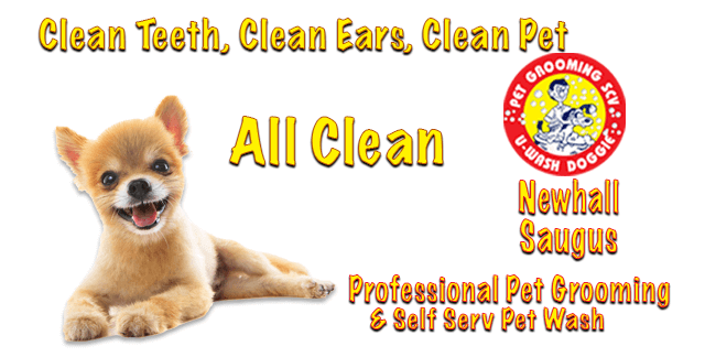 All Clean | U-Wash Doggie