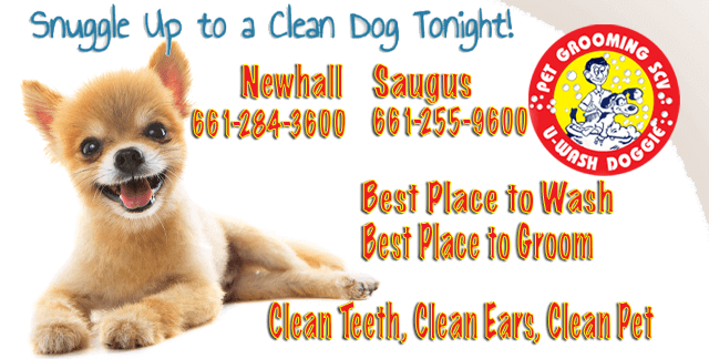 Clean Teeth, Clean Ears, Clean Pet | U-Wash Doggie