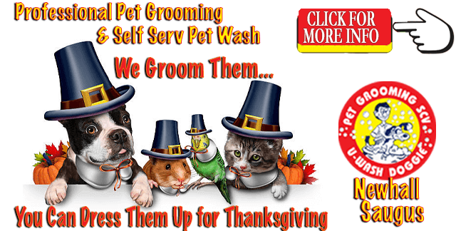 We Groom Them… You Can Dress Them Up for Thanksgiving