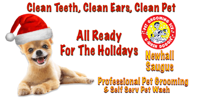 Clean Teeth, Clean Ears, Clean Pet