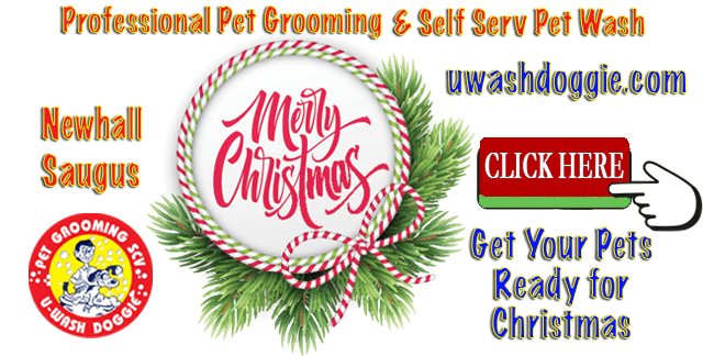 Merry Christmas – U-Wash Doggie Schedule