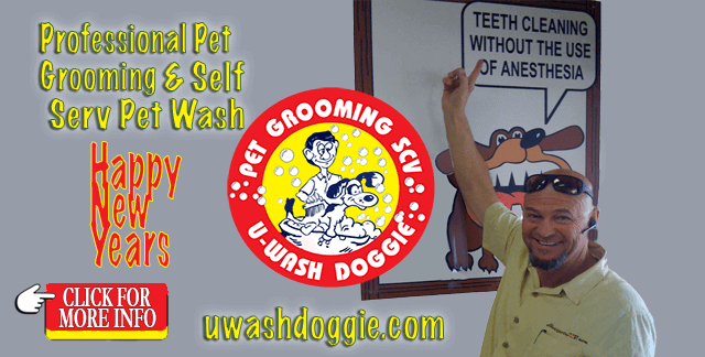 Happy New Year from U-Wash Doggie!