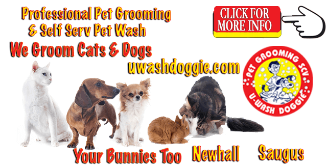 Pet Grooming, We’ve Got You | U-Wash Doggie SCV