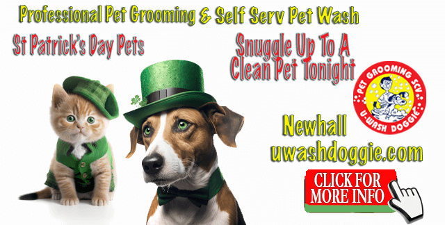 Happy St. Patrick’s Day from U-Wash Doggie-SCV