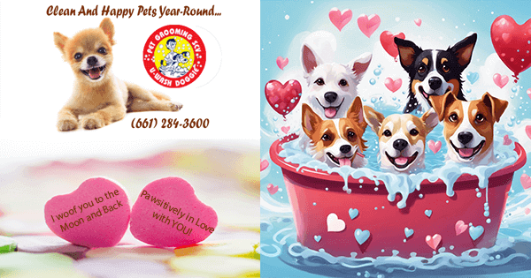 Give your beloved Furry Friend a Special Valentine’s Surprise-SCV-Newhall