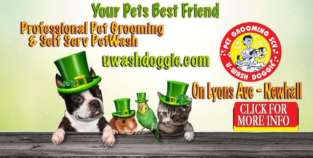 Are You Ready?  Fresh, Fluffy, Transformation With U-Wash Doggie