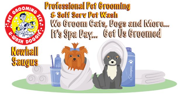 It’s Pet Spa Day Santa Clarita