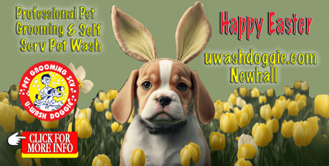 Happy Easter from U-Wash Doggie SCV