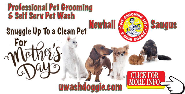 It’s Spa Week in Santa Clarita – Pets and Moms