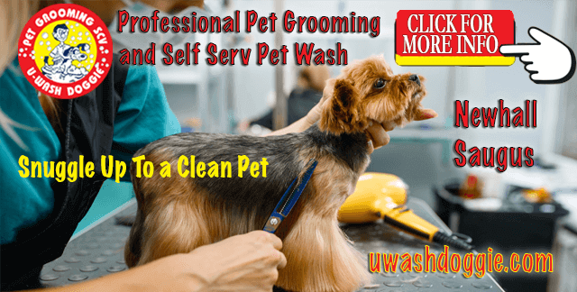 Full Service Professional Pet Grooming Santa Clarita