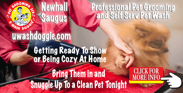 Pet Wash & Professional Grooming Newhall and Saugus