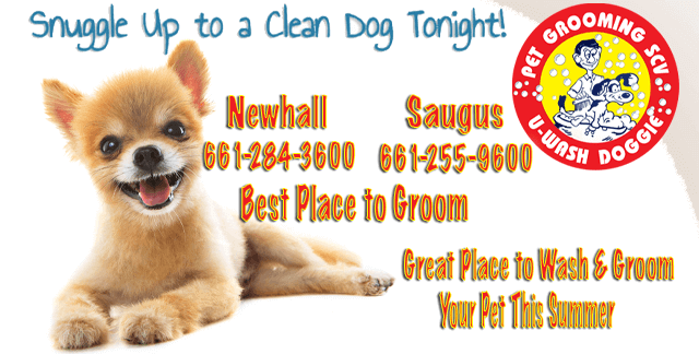 Clean Dogs are Happy Dogs | Professional Pet Grooming