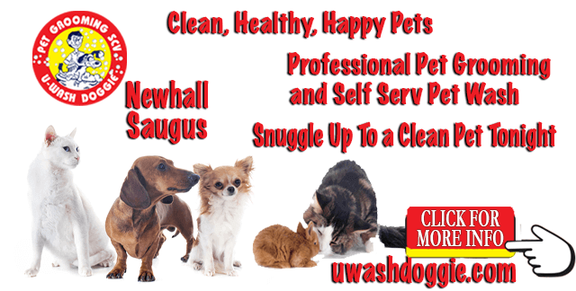 Clean, Healthy, Happy Pets