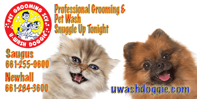 Professional Pet Grooming (At It’s Best)  | Pet Wash SCV | U-WASH DOGGIE