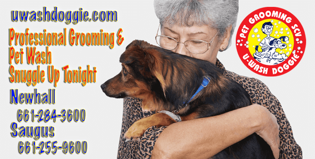 Professional Pet Grooming | Pet Wash SCV | U-WASH DOGGIE