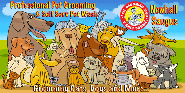 Grooming Cats, Dogs and More… U-Wash Doggie