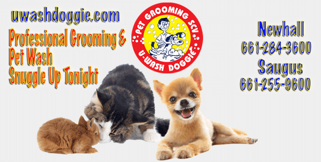 Grooming All Pets Professionally  | Pet Wash SCV | U-WASH DOGGIE