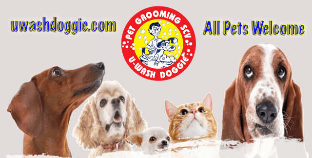 All Pets Professional Grooming | Pet Wash SCV | U-WASH DOGGIE