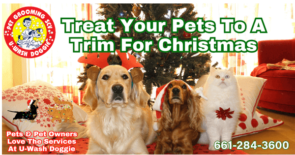 U-Wash Doggie SCV – Holiday Prep Is Here! Keep Your Pup Happy Through the Holiday Hustle