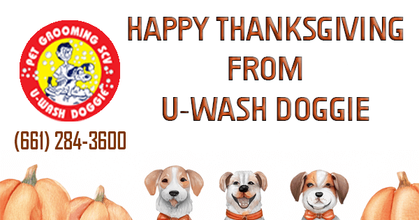 Happy Thanksgiving From U-Wash Doggie in SCV!