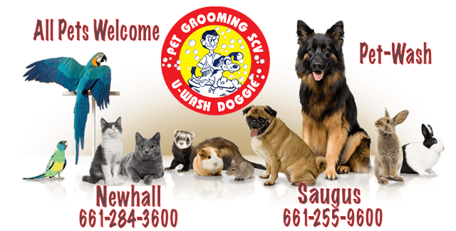 All Pets Are Welcome! | U-Wash Doggie Newhall |  U-Wash Doggie Saugus