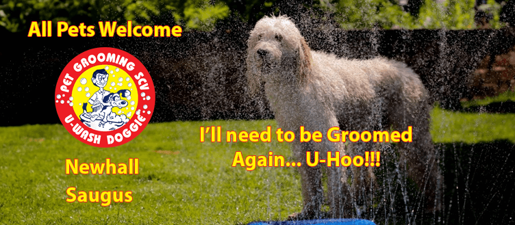 U Wash – We Wash – U Choose * Professional Pet Grooming