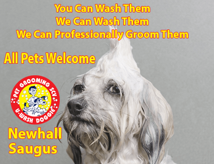 “DIY” Do It Yourself – & PROFESSIONAL PET GROOMING – U-Wash Doggie ® Santa Clarita