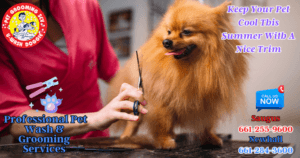 Give Your Pet A Wash And Trim