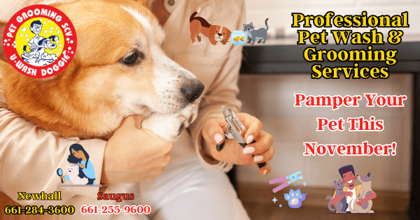 Pamper Your Pet This November