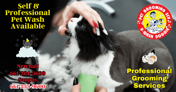 Pamper Your Pet This January