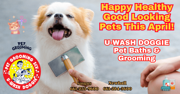 Well Groomed Pets Are Happy Pets!