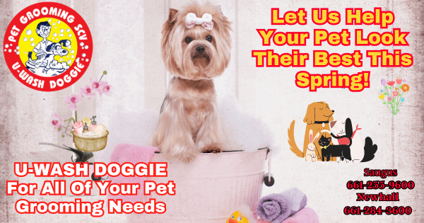 Pet Bath or Groom For Spring – U-Wash Doggie