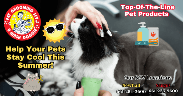 Help Your Pets Stay Cool This Summer!