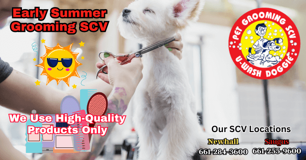 Early Summer Grooming SCV – U Wash Doggie