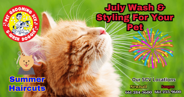 July Pet Styling & Trim – U Wash Doggie SCV
