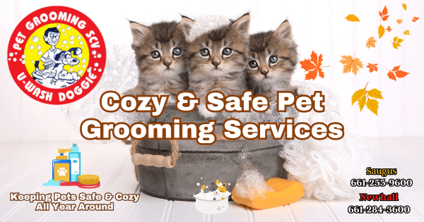 Cozy Grooming Service