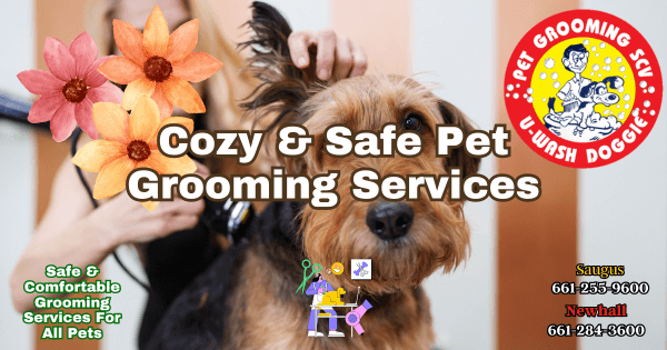 Keep Your Pet Cozy And Clean