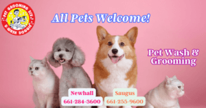 We Welcome All Pets