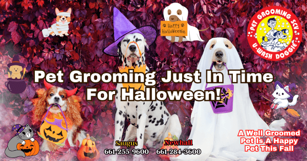 Well Groomed Pets For Halloween SCV