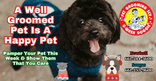 Clean Pets Are Happy Pets! – U Wash Doggie SCV