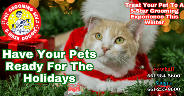 Holiday Pet Care Services – U Wash Doggie SCV