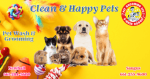 Clean And Happy Pets