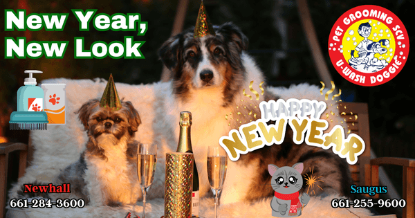 Have A Happy New Year! – U Wash Doggie SCV