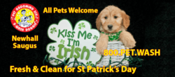 Pet Groomed today for St Patrick’s Day tomorrow! U-Wash Doggie