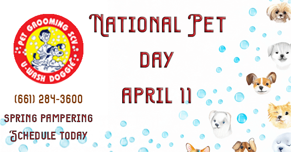 National Pet Day April 11th-SCV
